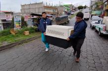 Perros Quito