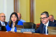 El vicecanciller, Alejandro Dávalos, planteó ante la OEA la actualización de las normas sobre asilo diplomático, tras el impasse con México.