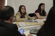 La Comisión planifica presentar el informe final del caso el 12 de junio.