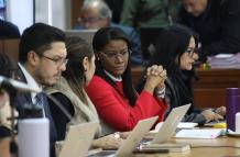 La Fiscal Diana Salazar durante la audiencia.