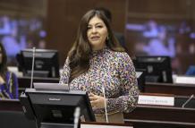 Solicitud. La legisladora de RC, Sofía Espín, propuso que Fiscalización investigue la crisis energética.