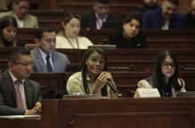 Fiscal Diana Salazar en sesión.