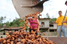 volatilidad+cacao+comercio+precio
