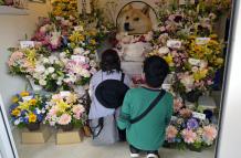 Decenas de personas se despiden con flores de Kabosu, la perra shiba inu que inspiró el meme Doge.