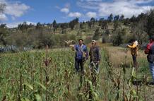 Las autoridades realizaron recorrido en en la parroquia Poaló, Cotopaxi.