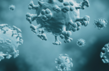 Aún no hay detalles del primer paciente que murió a causa de este virus.
