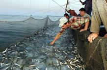 Bruselas - pescadores