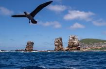 Fundación Charles Darwin presenta nueva estrategia para la protección de Islas Galápagos
