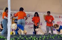 perros quito