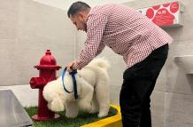 baño de mascota