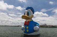 El pato Donald tiene una trayectoria vital digna de conocer, y unas peculiaridades que le hacen muy especial.