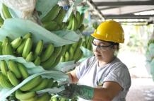 Mujeres+trabajo+salario