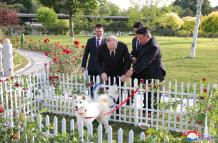 Perros de caza norcoreanos y una limusina rusa, los regalos entre Kim y Putin