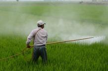 Uso de agroquímicos y pesticidas