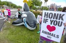 El Gobierno de Miami presenta demanda de desalojo contra el Miami Seaquarium
