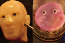 Combo de fotos cedidas por el profesor Shoji Takeuchi, del Instituto de Ciencia Industrial de la Universidad de Tokio, del robot facial con piel 'viva' hecha con células humanas