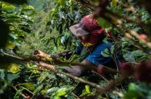 Exportación+Unión Europea+deforestación