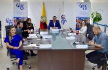 Un impasse se generó luego de la sesión del Consejo de Participación, en la continuación de la reunión, pero de forma virtual.