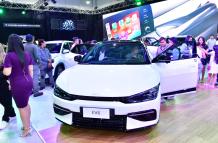 AUTO SHOW, en centro (13143955)