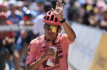 Tour de France 2024 - (13179688)