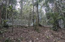 Panamá bloquea casi 5 kilómetros de pasos en la selva del Darién