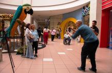 mall del sur exposición