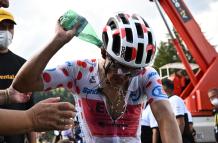 Tour de France 2024 - (13189633)