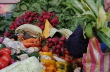 Según el estudio, hortalizas que se ofertan en los mercados de Quito, como tomate, zanahoria y lechuga tienen plomo y cadmio.