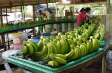 Banano+china+acuerdo comercial