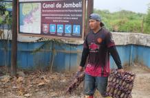 Más de 90.000 cangrejos y un homenaje al manglar