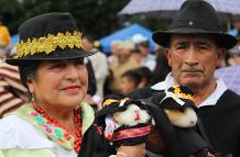 Disfrazado de presidente, vaquero o ciclista, el cuy es la estrella de festival en Ecuador