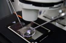 Mundo, Empresa australiana de fertilidad