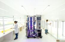 Estudios doctorales