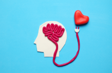 Amor: corazón y cerebro