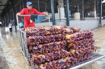 VENTA DE CANGREJOS