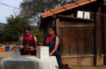 ABEJAS SEÑORITAS PUEBLO GUARANÍ