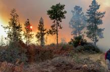 incendios forestales