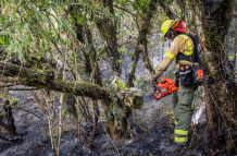 Los bomberos trabajan en primera línea para el control del incendio forestal.