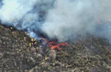 incendio forestal