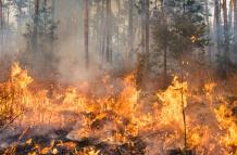 incendios forestales