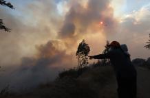 incendios forestales