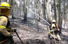 Los bomberos acudieron para sofocar el incendio forestal en el sector Mena del Hierro, norte de Quito.