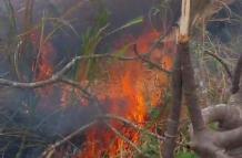 INCENDIO