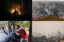 Mundo, Sudamérica, Una de las peores olas de incendios