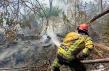 Bomberos