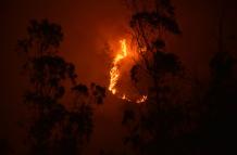 Familias enteras han tenido que salir de sus casas por los incendios en Quito.