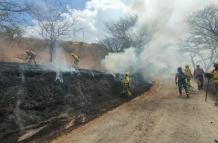Bomberos combaten un incendio forestal en Vilcabamba.