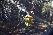 Incendio forestal en Cotopaxi -