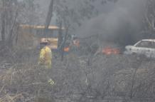 Incendio forestal en parque Samanes Guayaquil