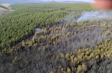 Controlan incendio en Pansache